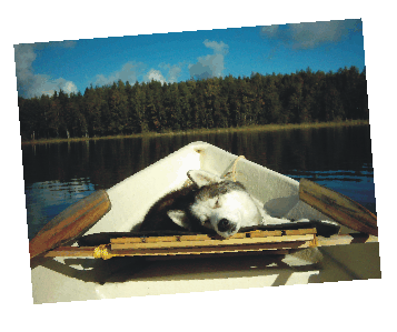 auch für kleine Boote gibt es Beschriftung